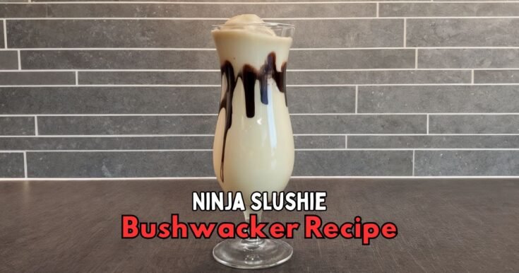 Ninja Slushie Bushwacker Recipe