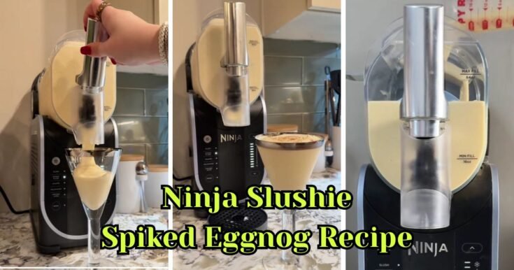 Ninja Slushie Spiked Eggnog Recipe