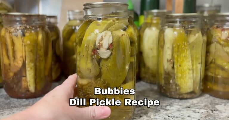 Bubbies Dill Pickle Recipe